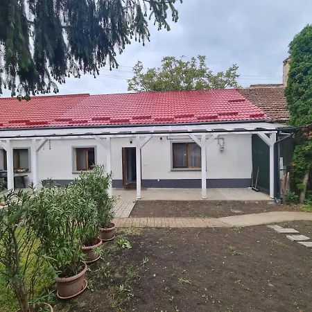 Peaceful&Central Apartment With Garden Targu Mures Exterior photo