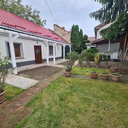 Peaceful&Central Apartment With Garden Targu Mures Exterior photo